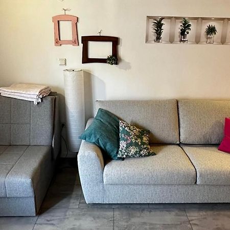 Lara Deluxe Superior 5 Star Apartment, Your Piece Of Heaven By The Sea & Park Novigrad  Exterior photo